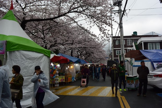 2015 Seoul Busan Trip Day4_115