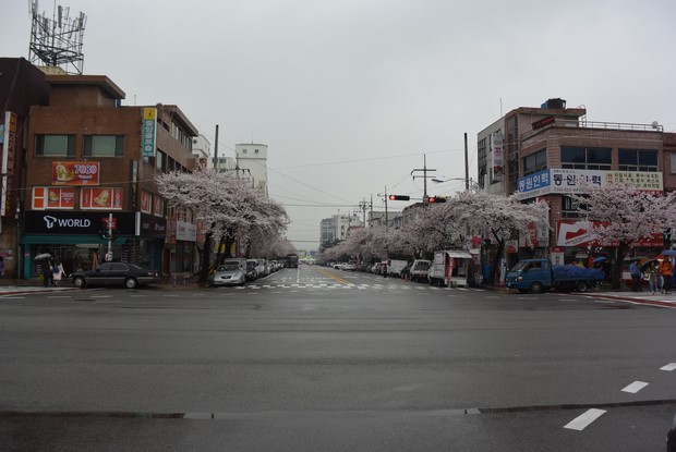 2015 Seoul Busan Trip Day4_118