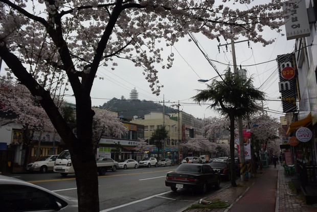 2015 Seoul Busan Trip Day4_119