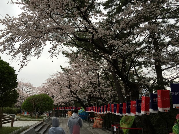2015 Seoul Busan Trip Day4_136