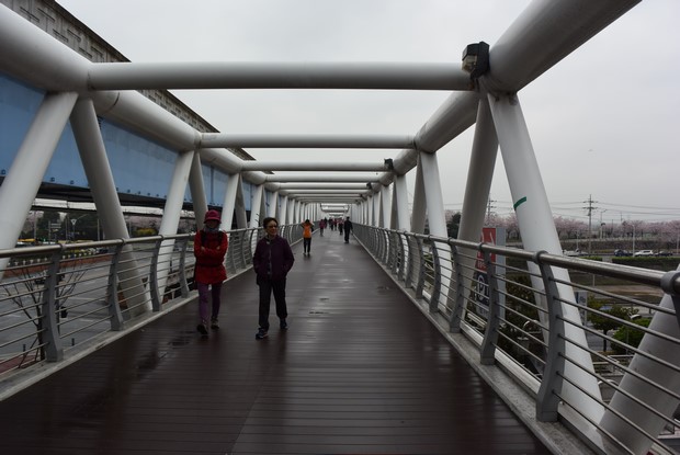2015 Seoul Busan Trip Day4_28