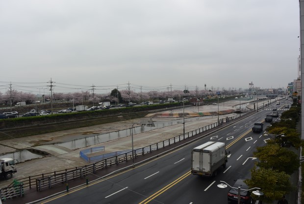 2015 Seoul Busan Trip Day4_29