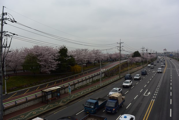 2015 Seoul Busan Trip Day4_31