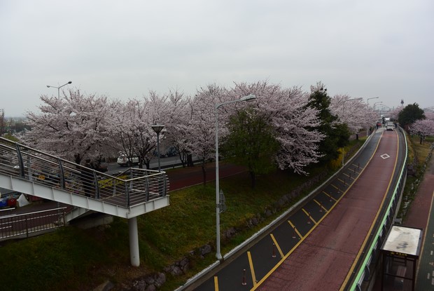 2015 Seoul Busan Trip Day4_32