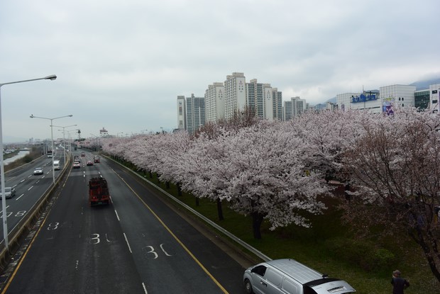 2015 Seoul Busan Trip Day4_34