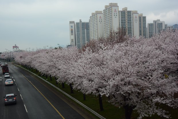 2015 Seoul Busan Trip Day4_35