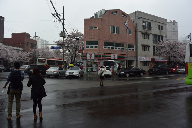 2015 Seoul Busan Trip Day4_56