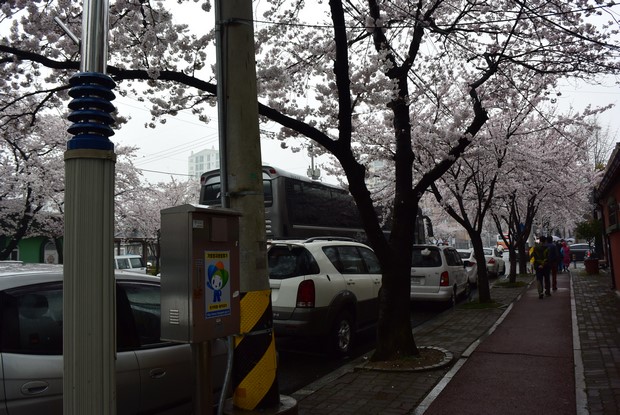 2015 Seoul Busan Trip Day4_59