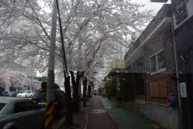 2015 Seoul Busan Trip Day4_60