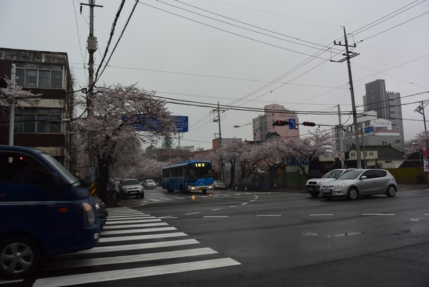 2015 Seoul Busan Trip Day4_61
