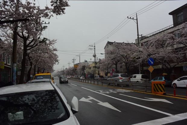 2015 Seoul Busan Trip Day4_62