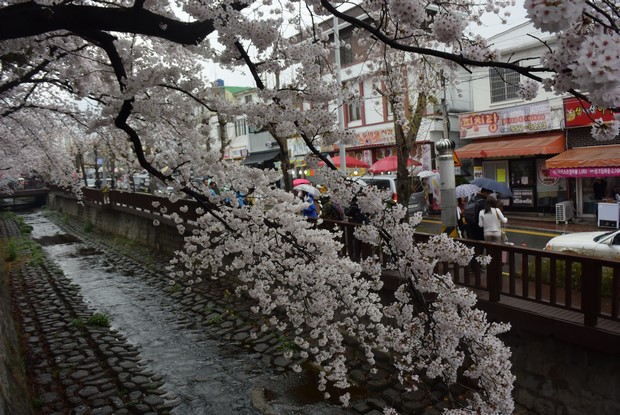 2015 Seoul Busan Trip Day4_88