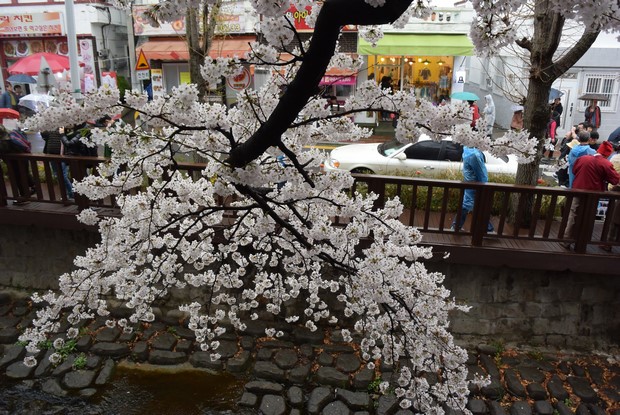 2015 Seoul Busan Trip Day4_89