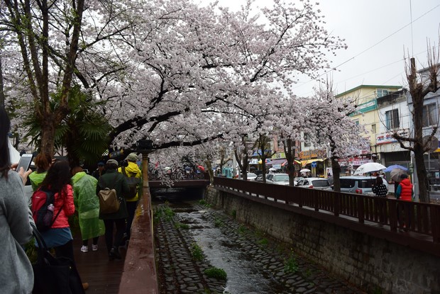 2015 Seoul Busan Trip Day4_90