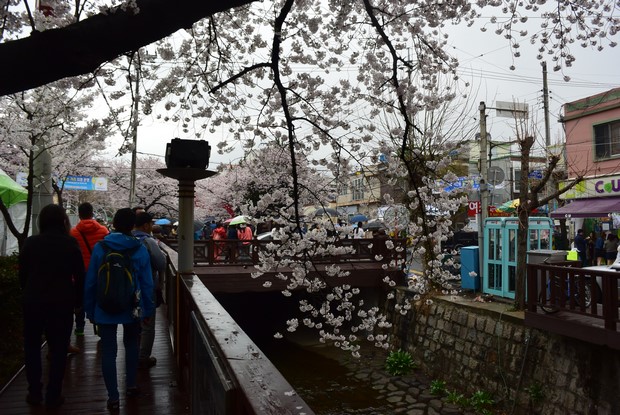 2015 Seoul Busan Trip Day4_91