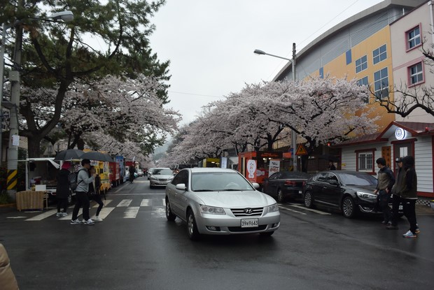 2015 Seoul Busan Trip Day4_94