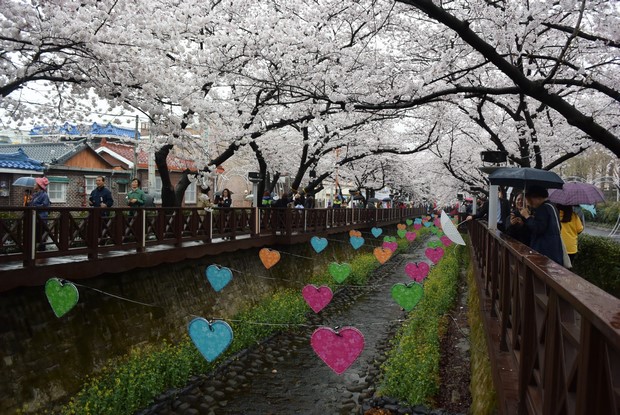 2015 Seoul Busan Trip Day4_99