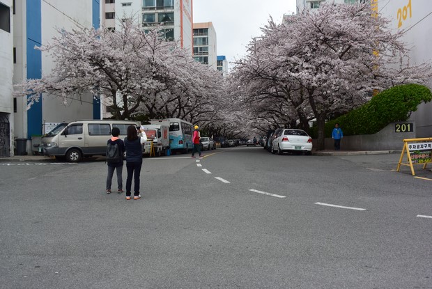 2015 Seoul Busan Trip Day5_35