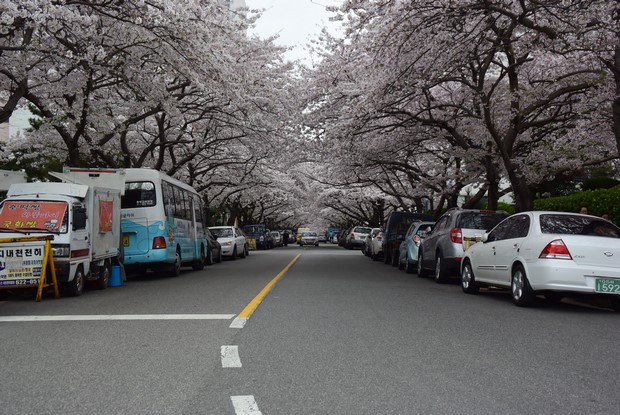 2015 Seoul Busan Trip Day5_36