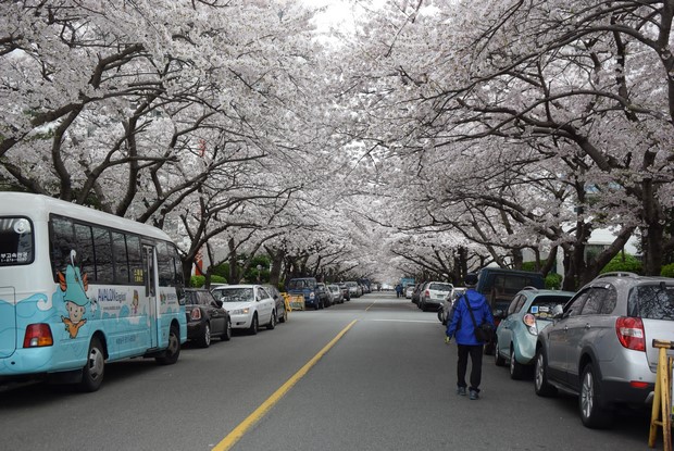 2015 Seoul Busan Trip Day5_37