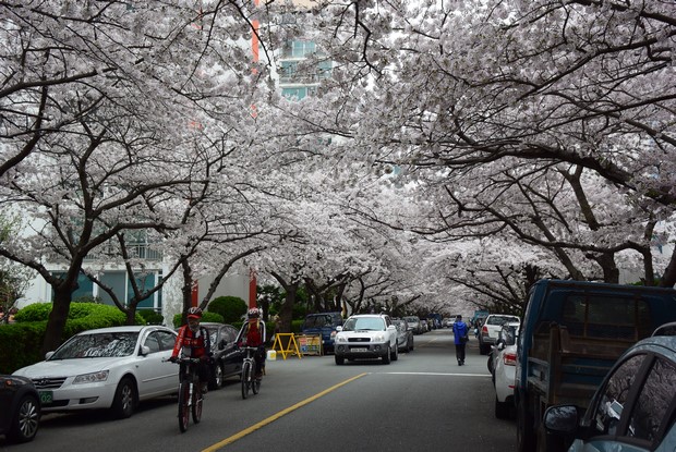 2015 Seoul Busan Trip Day5_38
