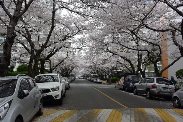 2015 Seoul Busan Trip Day5_43