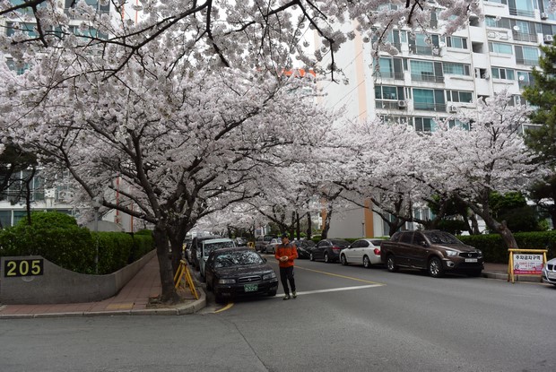 2015 Seoul Busan Trip Day5_44