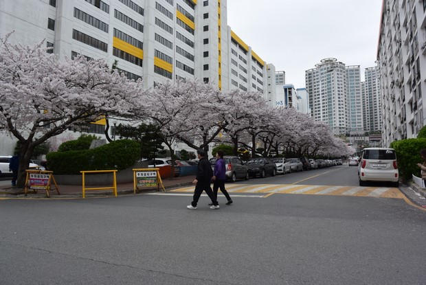 2015 Seoul Busan Trip Day5_45