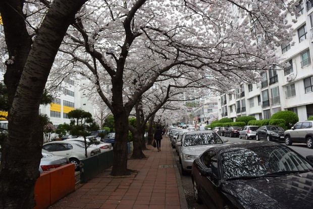2015 Seoul Busan Trip Day5_46