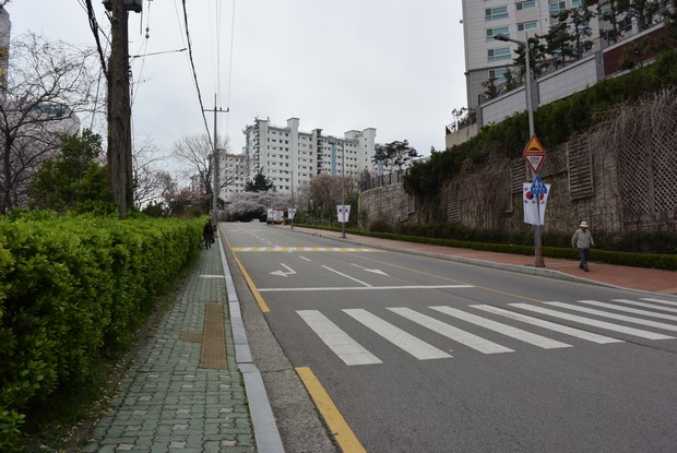 2015 Seoul Busan Trip Day5_49