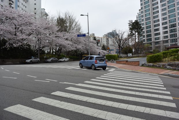 2015 Seoul Busan Trip Day5_50