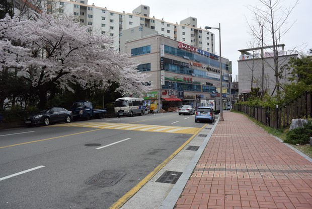 2015 Seoul Busan Trip Day5_52