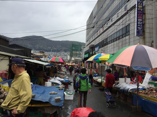 2015 Seoul Busan Trip Day5_58
