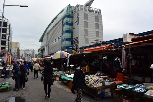 2015 Seoul Busan Trip Day5_59