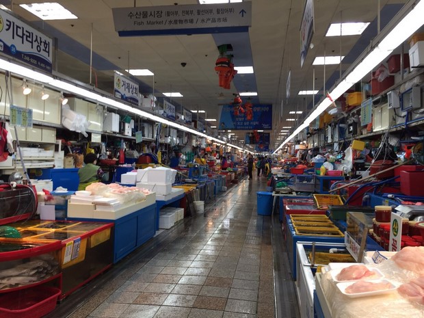 2015 Seoul Busan Trip Day5_62