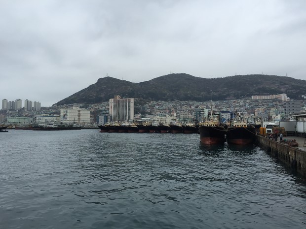 2015 Seoul Busan Trip Day5_71