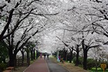 2015 Seoul+Busan Trip_Day4_1