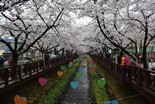 2015 Seoul+Busan Trip_Day4_4