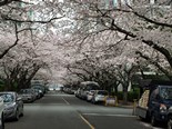2015 Seoul+Busan Trip_Day5_1