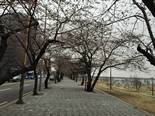 2015 Seoul+Busan Trip_Day6_1