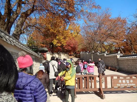 昌德宮秘苑導賞團
