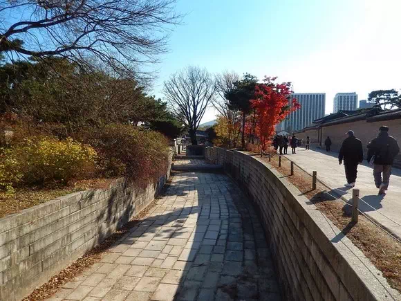 昌德宮紅葉
