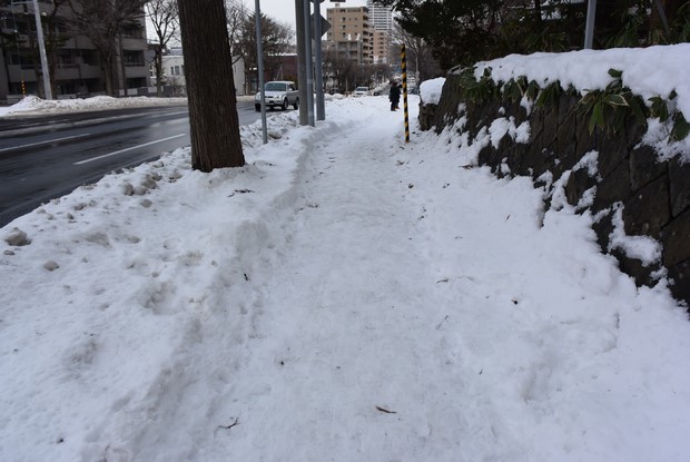 2014 Hokkaido Winter Trip_Day2_14