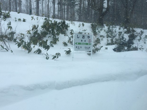 2014 Hokkaido Winter Trip_Day3_16