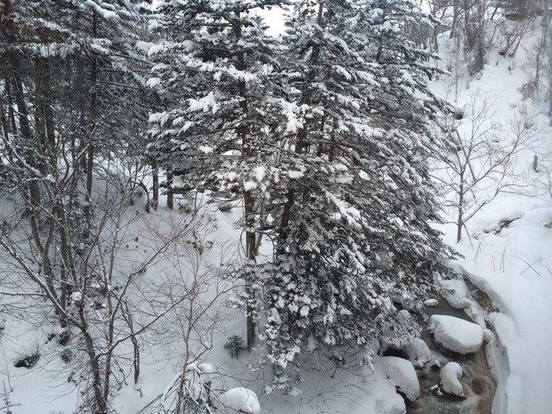 2014 Hokkaido Winter Trip_Day4_07