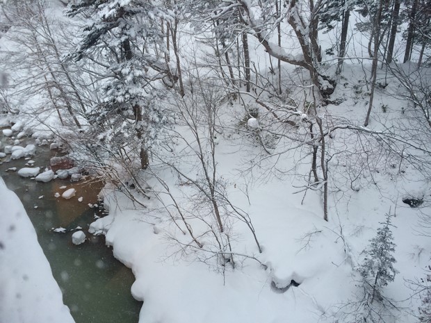 2014 Hokkaido Winter Trip_Day4_09