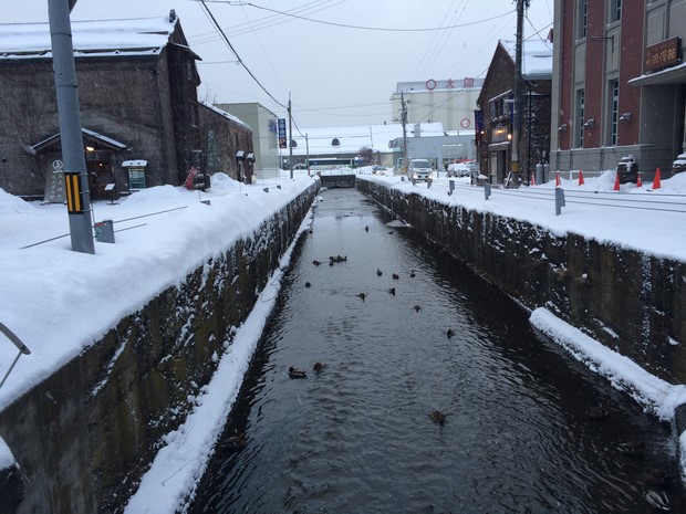 2014 Hokkaido Winter Trip_Day4_52