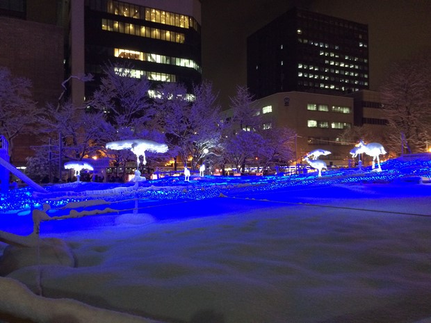 2014 Hokkaido Winter Trip_Day6_17