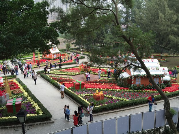 Macao Christmas Flower Show_06