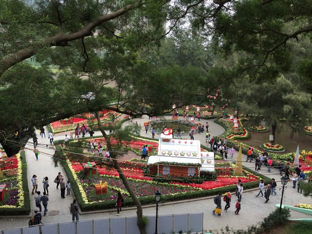 Macao Christmas Flower Show_07